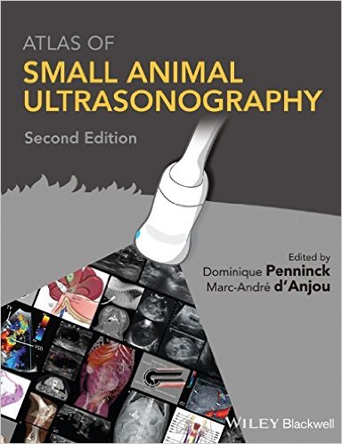 small animal surgery fossum pdf free